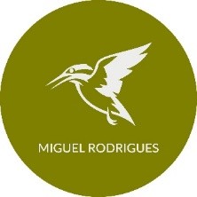 Miguel Rodrigues