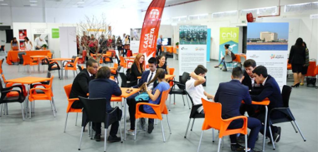 IV AGE - Soluções de Emprego &amp; Empreendedorismo