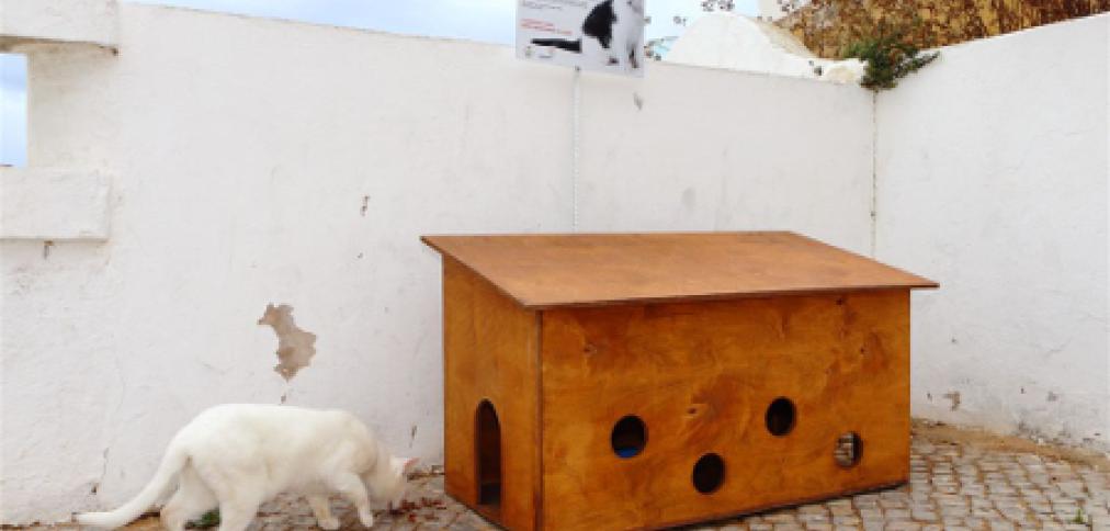 Município assinalou o Dia Mundial do Animal