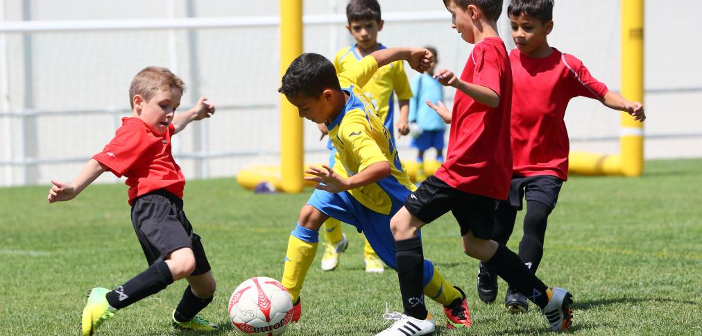 MUNICÍPIO DE ALBUFEIRA ABRE CANDIDATURAS PARA APOIO AO DESENVOLVIMENTO DESPORTIVO MUNICÍPIO DE ALBUFEIRA ABRE CANDIDATURAS PARA APOIO AO DESENVOLVIMENTO DESPORTIVO