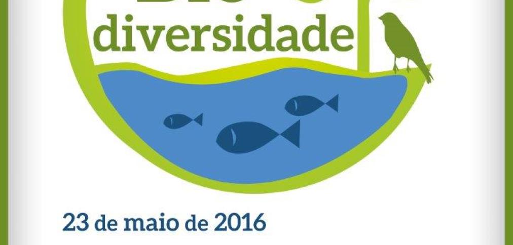 ESTAÇÃO DA BIODIVERSIDADE DA RIBEIRA DE QUARTEIRA INAUGURA NA PRÓXIMA SEMANA ESTAÇÃO DA BIODIVERSIDADE DA RIBEIRA DE QUARTEIRA INAUGURA NA PRÓXIMA SEMANA