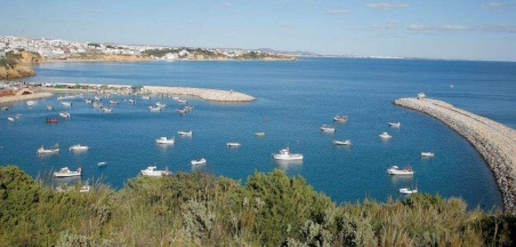 CÂMARA DE ALBUFEIRA DECLARA EXPLORAÇÃO DE AQUACULTURA CONTRÁRIA AOS INTERESSES PÚBLICOS