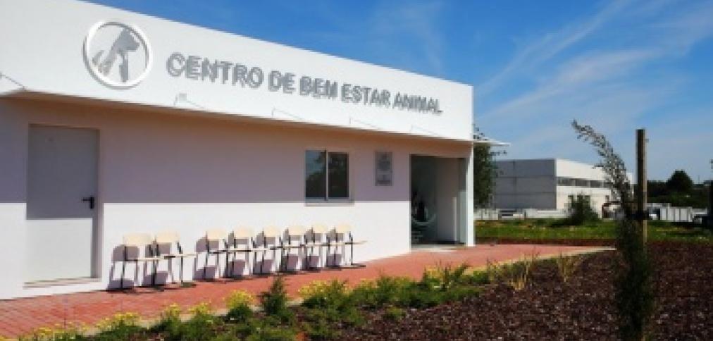 SERVIÇO MUNICIPAL DE VETERINÁRIA MUDOU-SE PARA O CENTRO DE BEM ESTAR ANIMAL