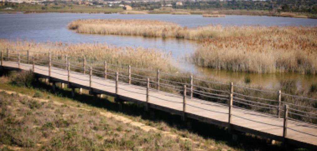 ALBUFEIRA ASSINALA DIA INTERNACIONAL DA BIODIVERSIDADE COM UM PASSEIO PELA LAGOA DOS SALGADOS ALBUFEIRA ASSINALA DIA INTERNACIONAL DA BIODIVERSIDADE COM UM PASSEIO PELA LAGOA DOS SALGADOS
