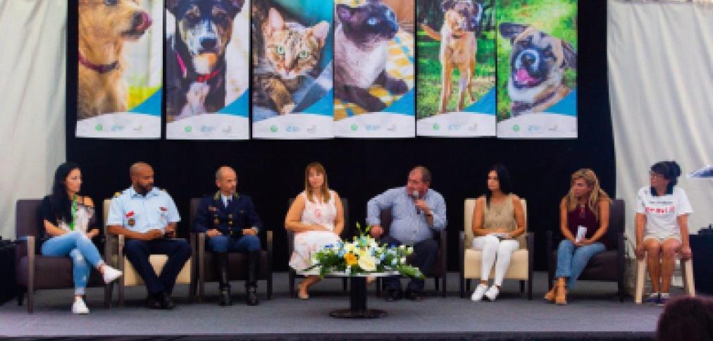 FESTA DE CRIAR BICHO DESPEDE-SE ATÉ AO PRÓXIMO ANO COM UMA EXCELENTE PARTICIPAÇÃO FESTA DE CRIAR BICHO DESPEDE-SE ATÉ AO PRÓXIMO ANO COM UMA EXCELENTE PARTICIPAÇÃO