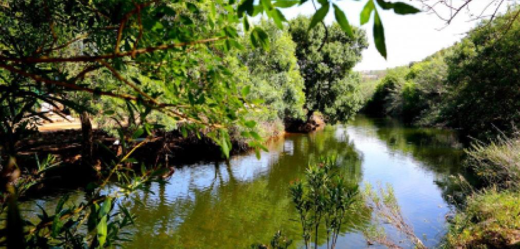 ALBUFEIRA ASSINALA DIA MUNDIAL DO TURISMO COM PROGRAMA DEDICADO AO MUNDO RURAL