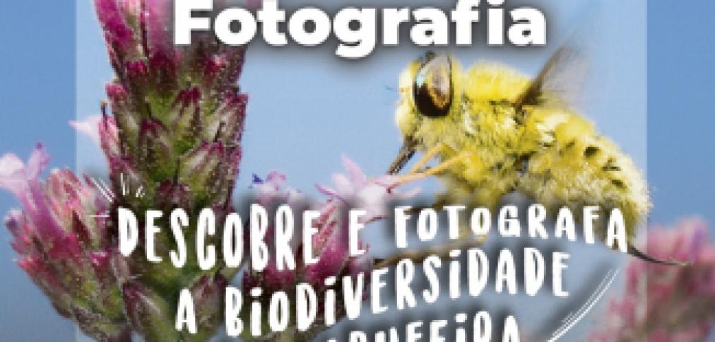 DESCOBRE E FOTOGRAFA A BIODIVERSIDADE DE ALBUFEIRA CONCURSO DE FOTOGRAFIA