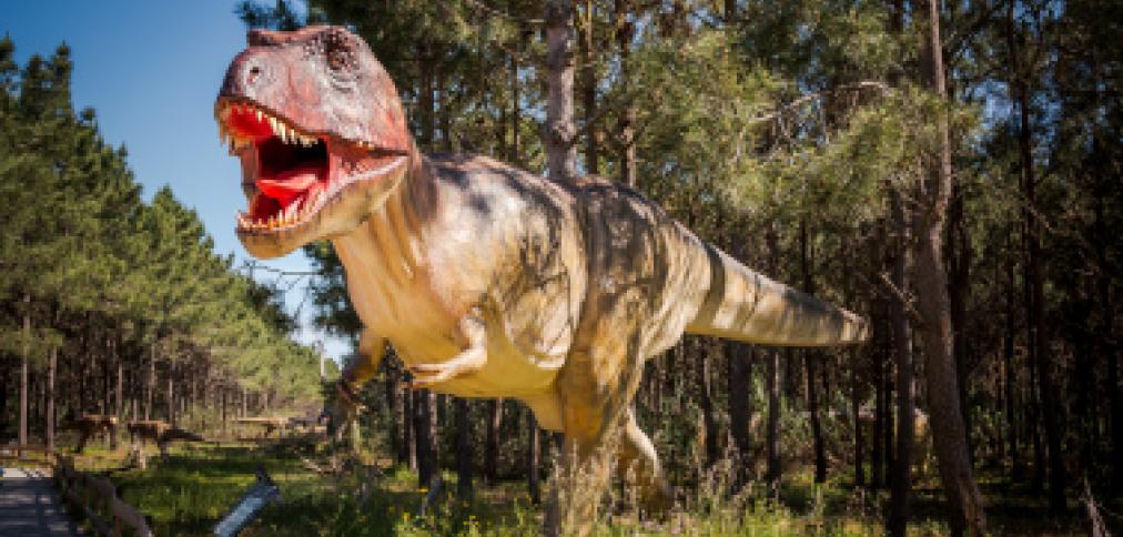 VENHA VISITAR OS DINOSSAUROS - UMA EXPERIÊNCIA ÚNICA PARA VER EM ALBUFEIRA