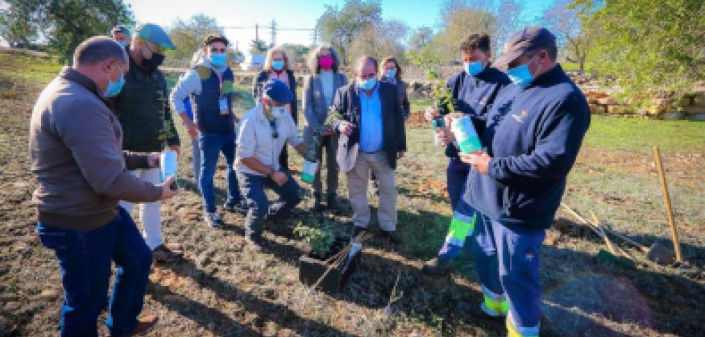 ALBUFEIRA ASSINALA DIA DA FLORESTA AUTÓCTONE COM PLANTAÇÃO DE SOBREIROS