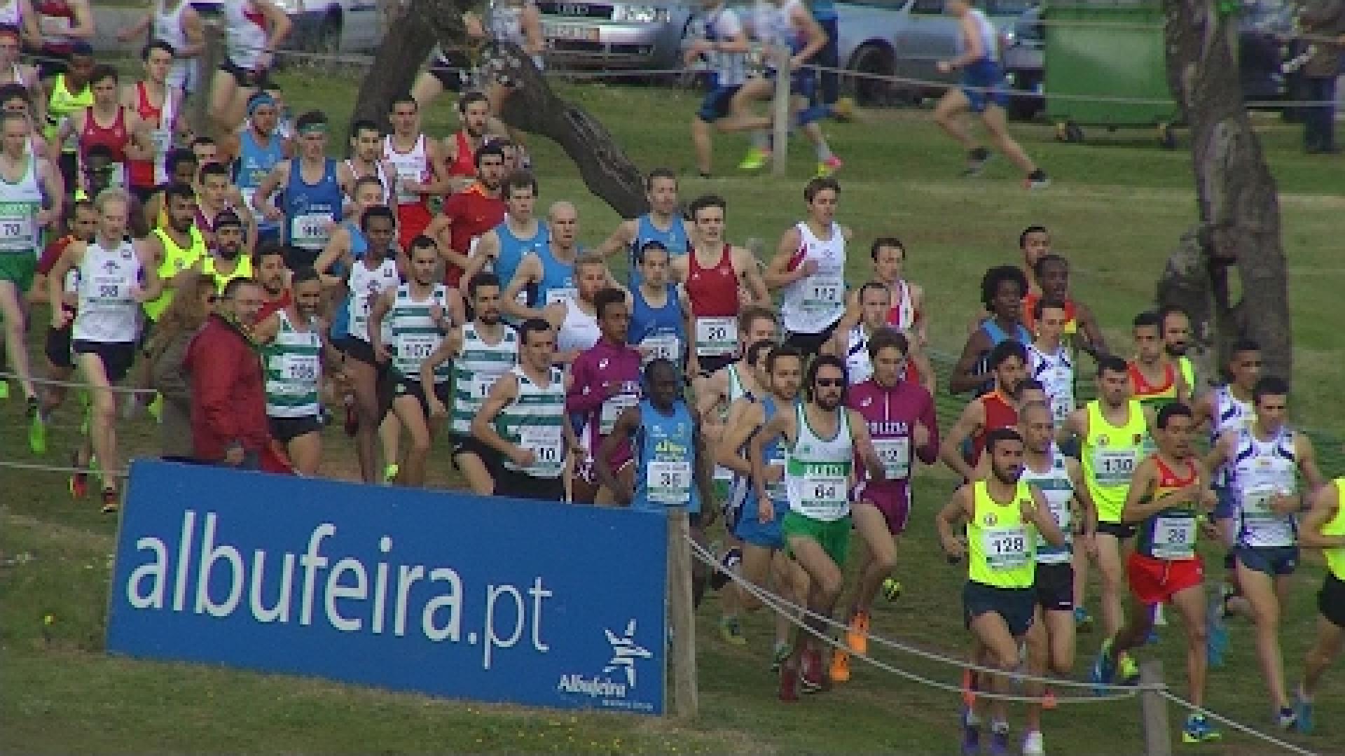 Preview image for the video "Atletismo: Crosse das Amendoeiras / TCCE Corta Mato 2017".