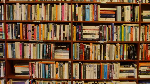Clube de Leitura da Biblioteca Municipal Lídia Jorge