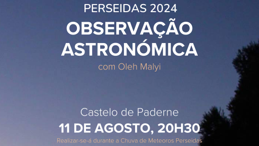 Cartaz - Perseidas 2024 Observação Astronómica
