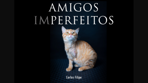 Exposição de Fotografia - Amigos (Im)perfeitos