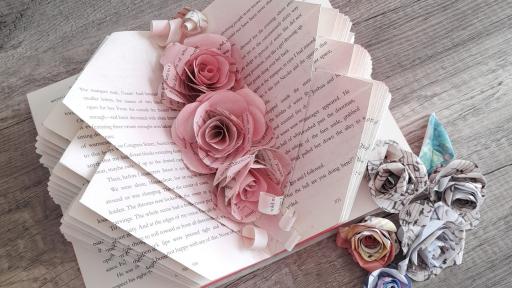 Reciclagem de Livros