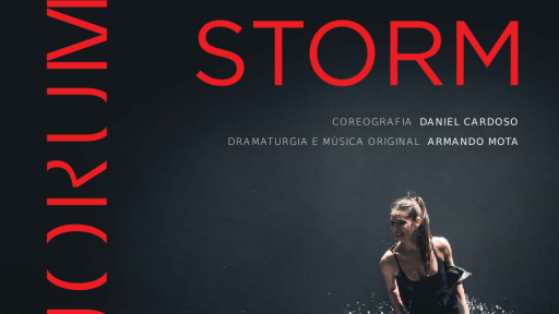 Cartaz - Storm