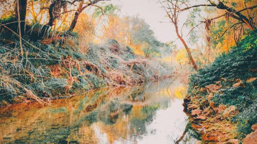 Exposição de Fotografia “Pelos Trilhos do Algarvensis”, de Rui M. M. Gregório