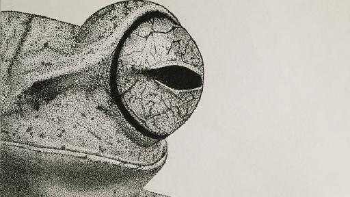 Workshop de Ilustração da natureza – Pontilhismo
