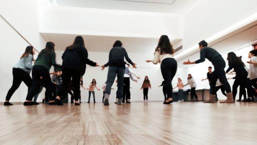 Dança da Diversidade