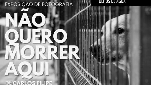 Cartaz - Exposição de Fotografia “Não quero morrer aqui”, de Carlos Filipe