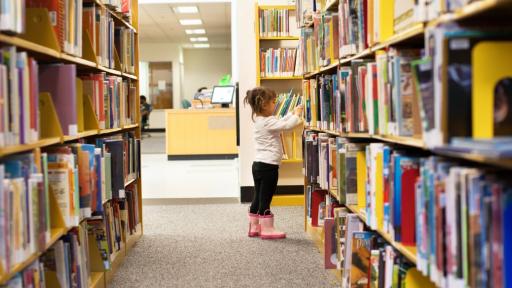“Férias Escolares + Diversão = Biblioteca - Especial verão 2025”