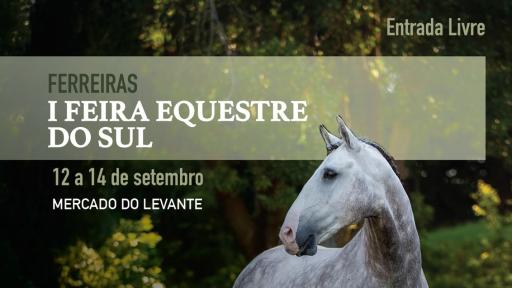 1º FEIRA EQUESTRE DO SUL
