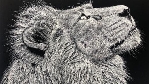Exposição Coletiva "Naturezas"