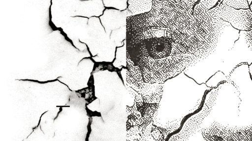 Exposição “Vestígios de Um Mundo Sem Cor”, de Sandra Chaves