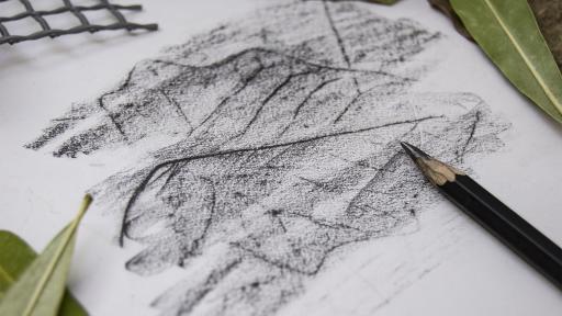 Workshop de Desenho – Técnica de Frottage