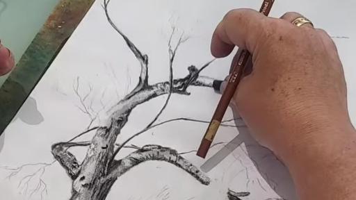 Workshop de Ilustração da Natureza em Carvão