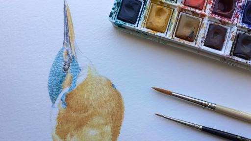Workshop de Ilustração da natureza - Aves em aguarela