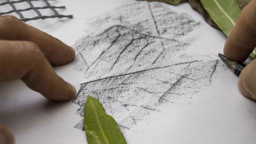 Workshop de Desenho – Técnica de Frottage