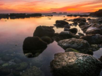 Exposição "Albufeira, uma costa diversificada"