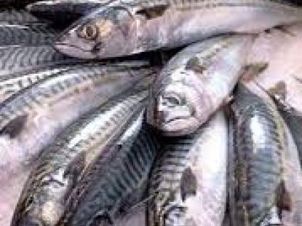 BIBLIOTECA MUNICIPAL ACOLHE SESSÃO DE ESCLARECIMENTO "COMERCIALIZAÇÃO DE PESCADO"