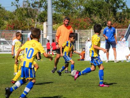 Campeonato de Futebol Golfinhos