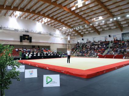 ELITE DA GINÁSTICA ACROBÁTICA