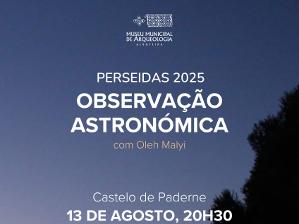 Cartaz Observação Astronómica – Perseidas