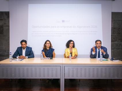 sessão de esclarecimento sobre oportunidades de financiamento para empresas