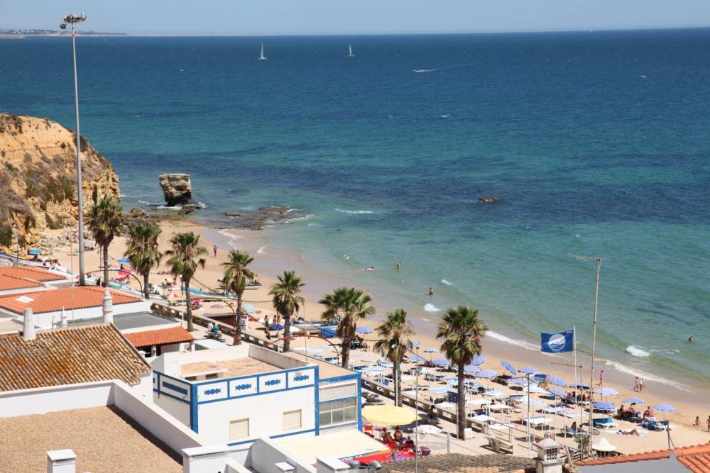praia com palmas alinhadas e edicicos