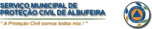 logo proteção civil uma roda com triangulo azul no centro