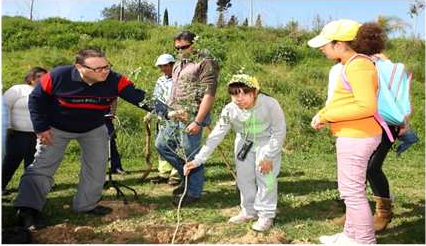 varias pessoas estão a plantar arovre