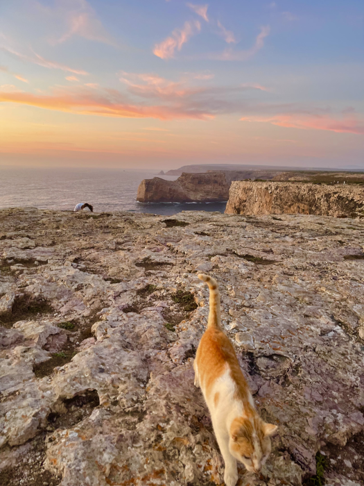 Exposição de Fotografia “O Algarve visto pelos olhos dos seus Guias-Intérpretes”