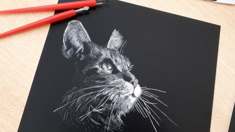 Workshop de Ilustração da natureza - Scratchboard