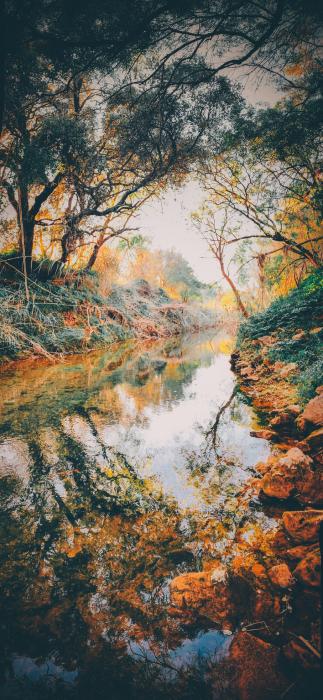Exposição de Fotografia “Pelos Trilhos do Algarvensis”, de Rui M. M. Gregório