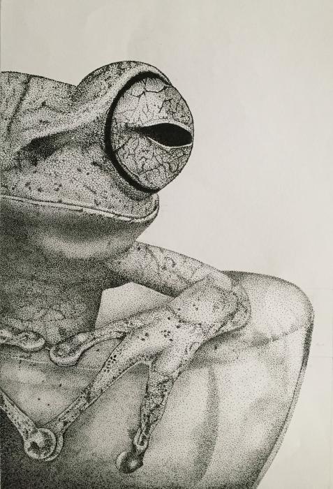 Workshop de Ilustração da natureza – Pontilhismo