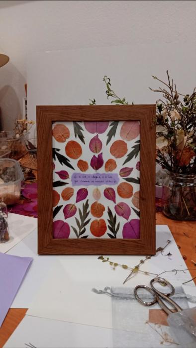 Workshop de Criação de moldura decorativa com flores e plantas prensadas/secas