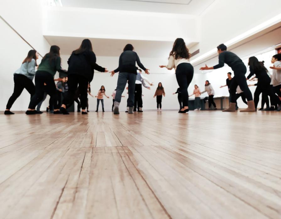 Dança da Diversidade