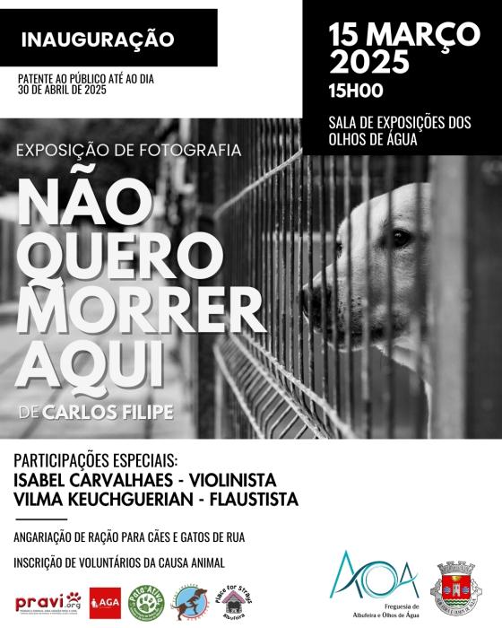 Cartaz - Exposição de Fotografia “Não quero morrer aqui”, de Carlos Filipe