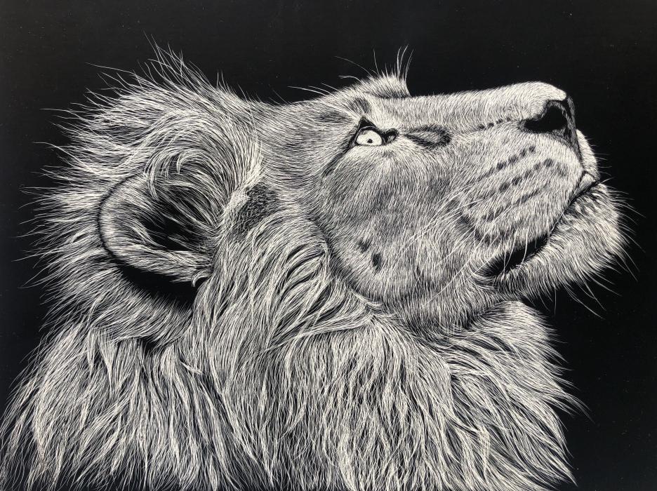 Exposição Coletiva "Naturezas"