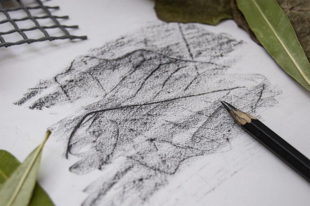 Workshop de Desenho – Técnica de Frottage