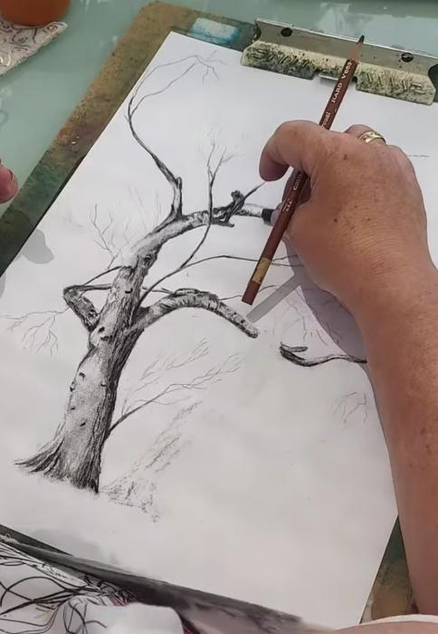 Workshop de Ilustração da Natureza em Carvão